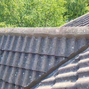 Ridge Tile Roofs Hampshire